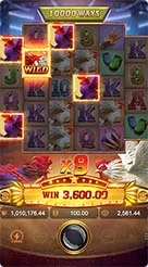 916jl · Rooster Rbl